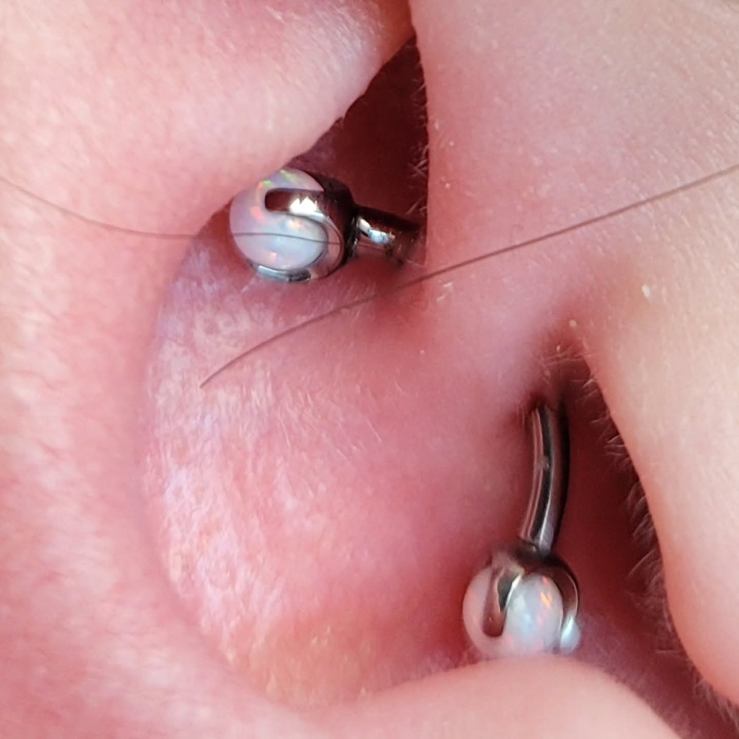 Piercing by John Fauls