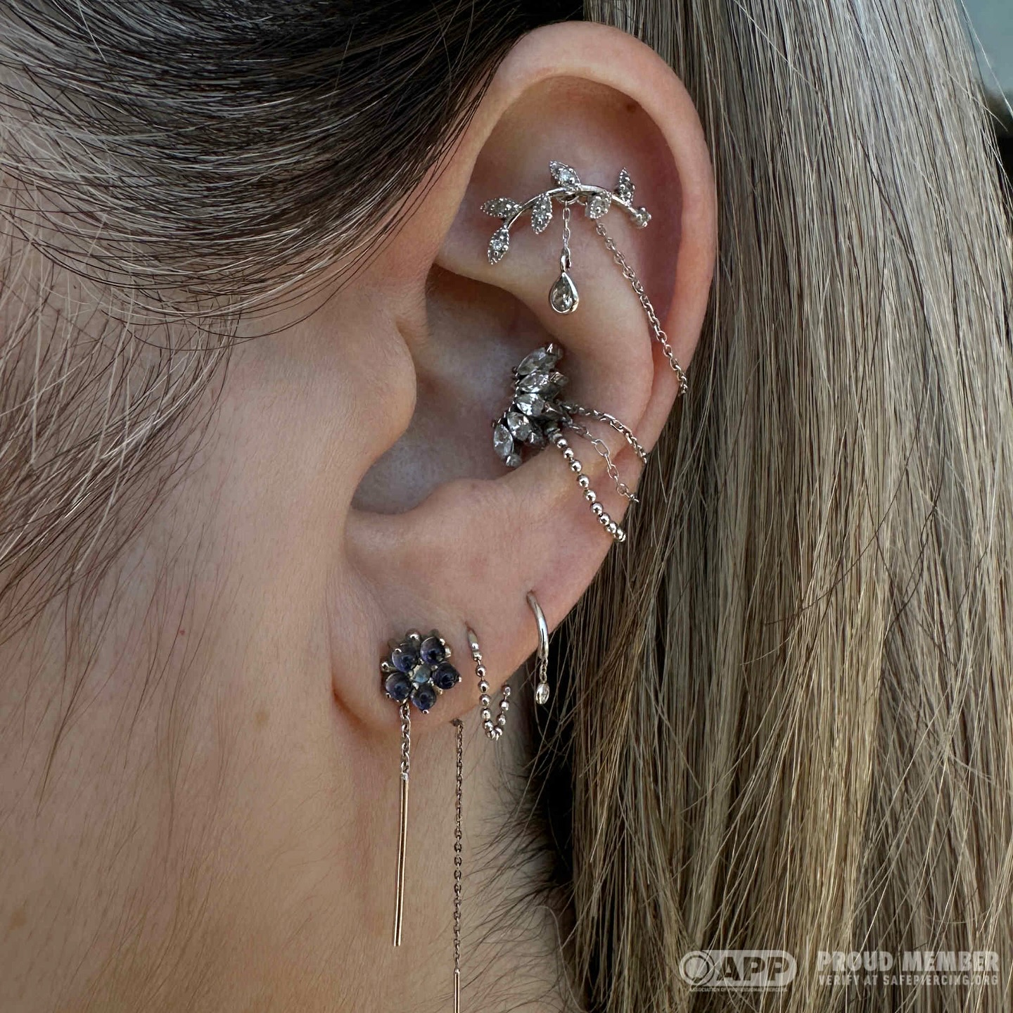 Piercing by Stacey Schiff Thiel